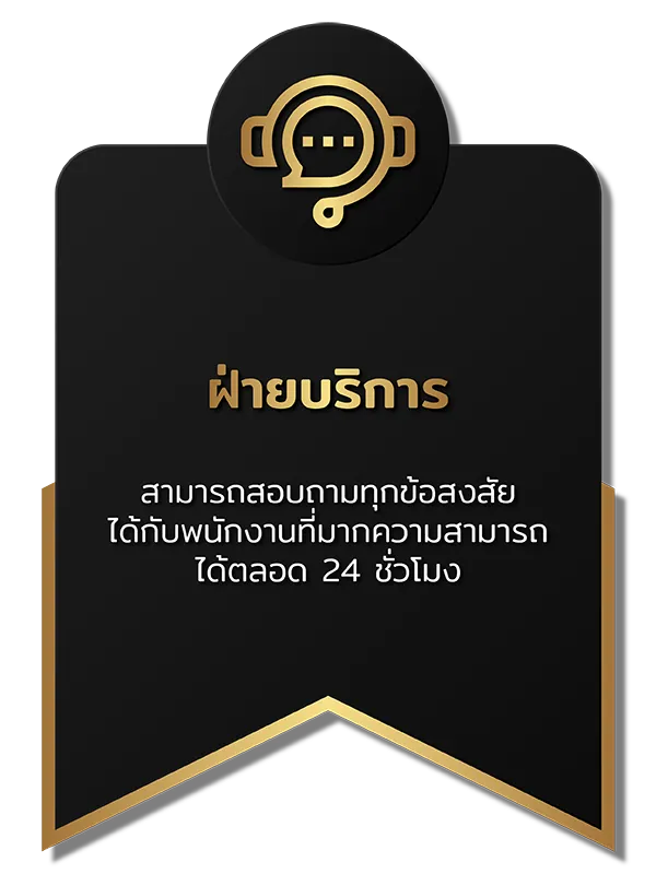 chokddd365